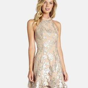 Dress the Population Abbie Nude Sequin Dress